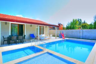 Villa Palm